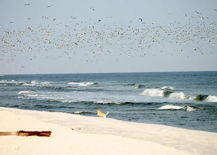 Apartment Beach'n'sea 6 *